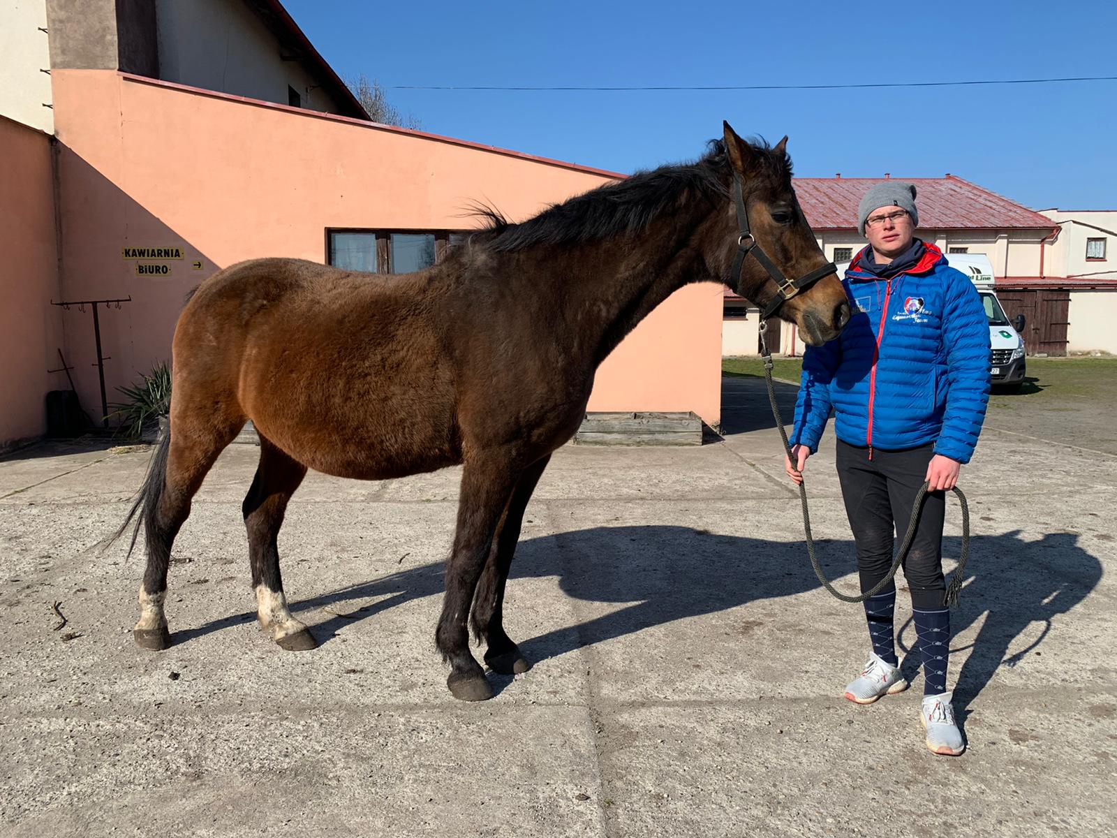 Larissa 644 na emeryturze